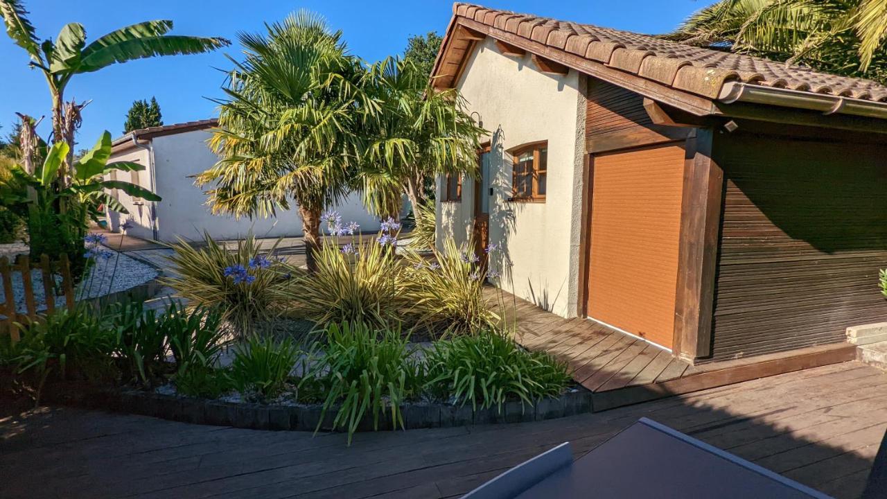 Guest House Au Milieu Des Palmiers Saint-Martin-de-Seignanx エクステリア 写真