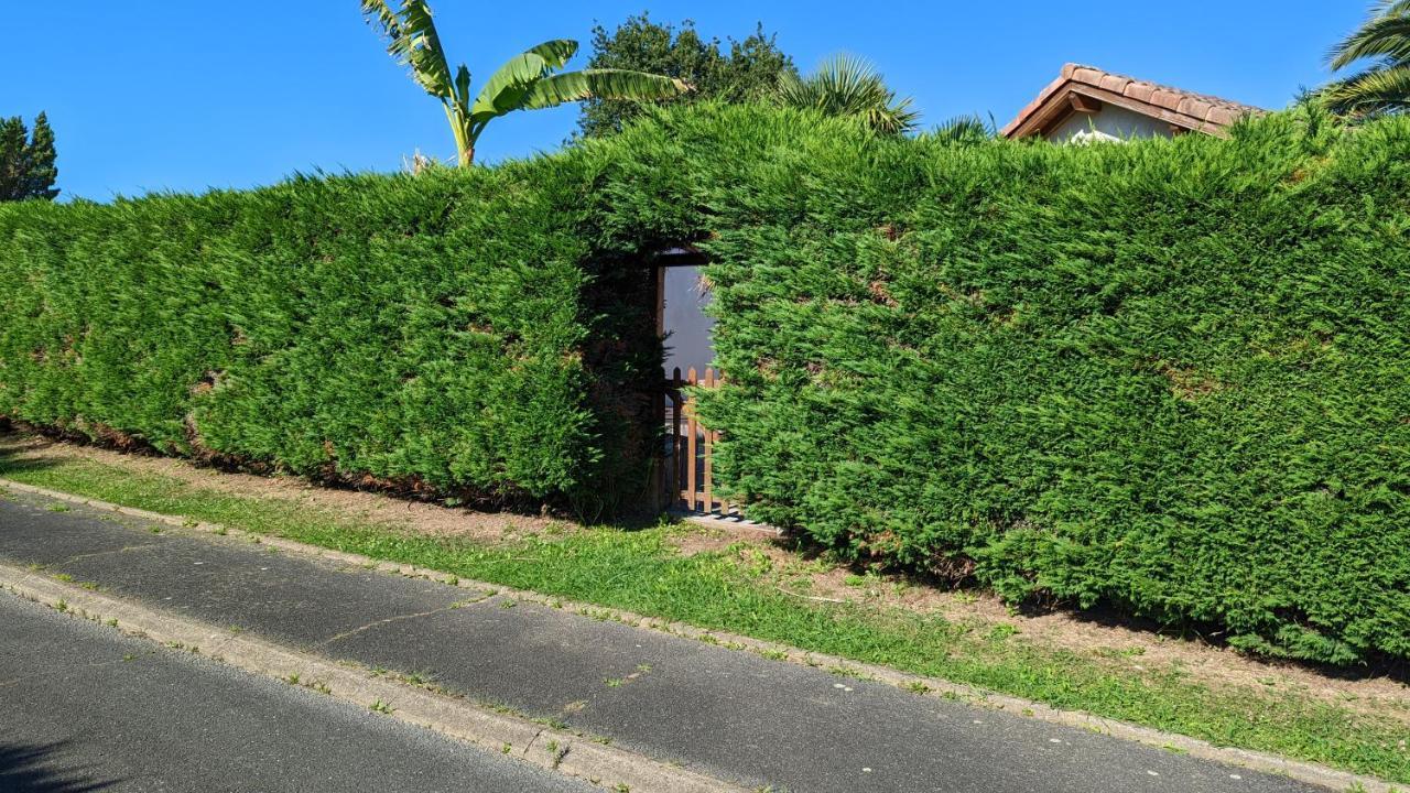 Guest House Au Milieu Des Palmiers Saint-Martin-de-Seignanx エクステリア 写真